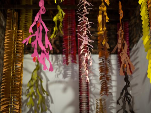 Workshop: Make Seaweed Streamers with Bethan Laura Wood