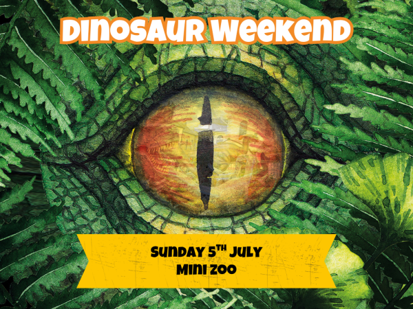 Mini Zoo Animal Encounter: Sun 5th July Dinosaur Weekend