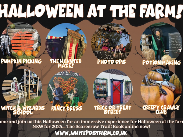 Halloween at the Farm