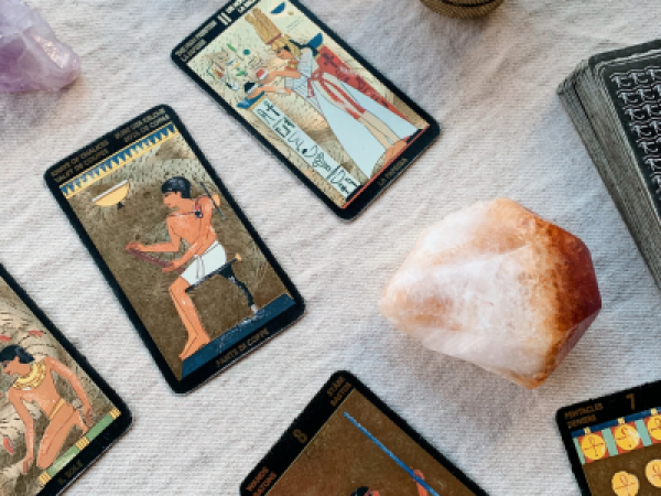 Tarot Reading at Well Read Literary Festival 2026