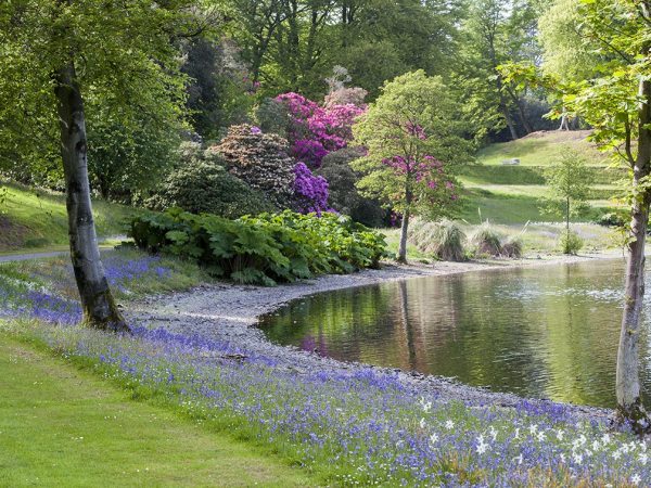 Summer in the Gardens Guided Walk