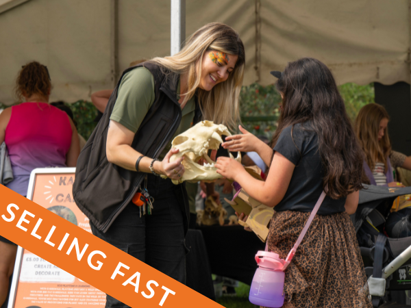 Big Cat Fest -  Friday 31st July