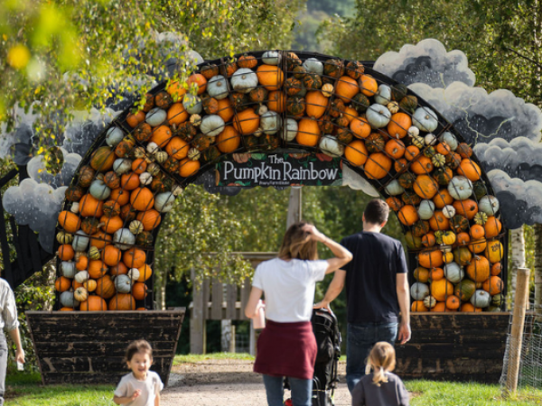 Halloween Trail
