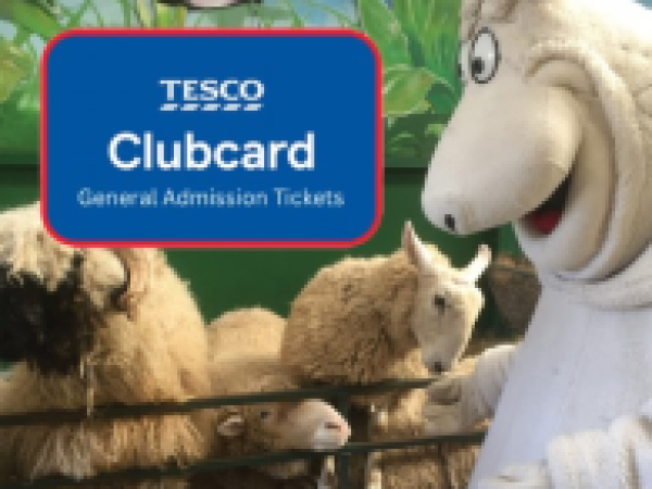 Autumn Term Time 1st Sep - 23rd Oct Tesco Admission