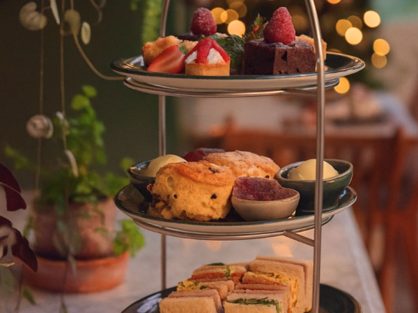 Festive Afternoon Tea in The Vinery