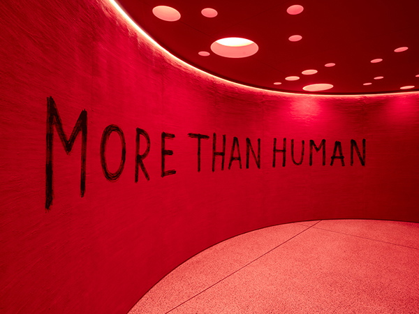 More than Human Symposium