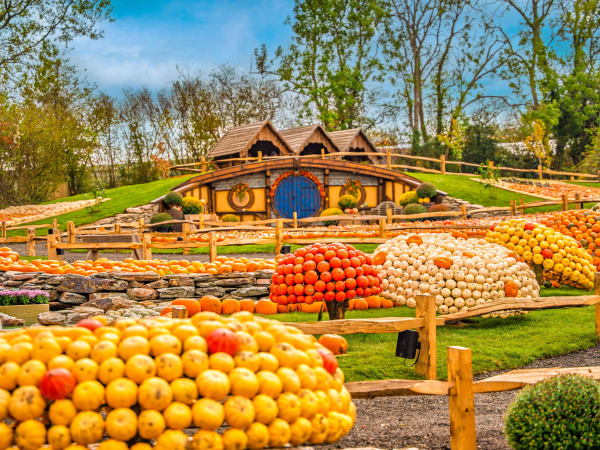 DAYTIME PUMPKIN FESTIVAL 2026