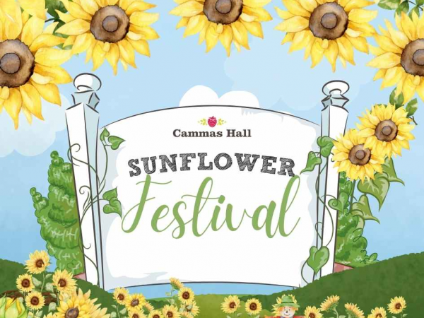 Sunflower Festival