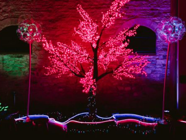 The Hidden Garden - An Immersive Experience