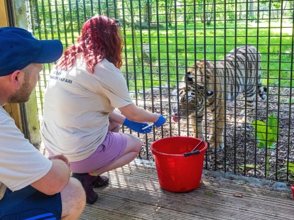 Keeper for a Day  Experience