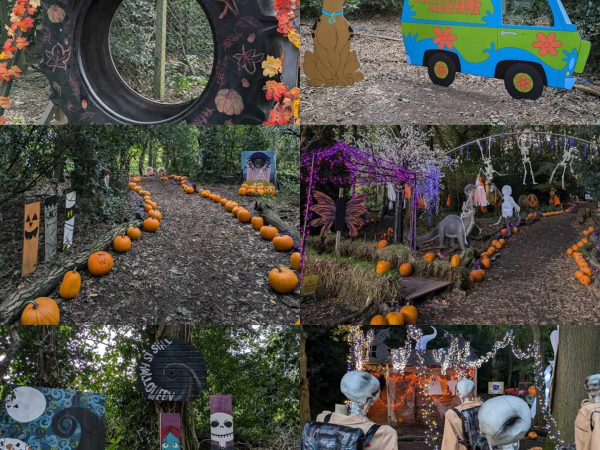 Pumpkin Woods