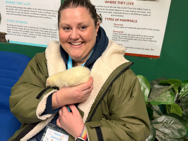 Ferret Meet and Greet