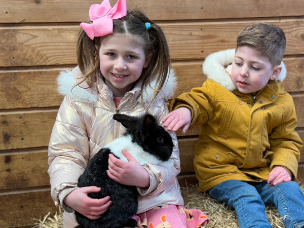 Some Bunny loves you Experience