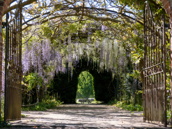 General Garden Admission