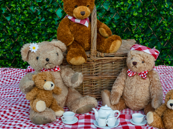 Teddy Bear's Picnic - Rah Rah Theatre