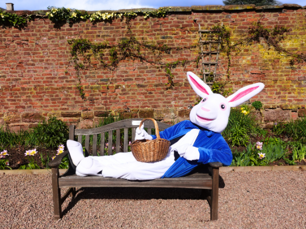 Easter Bunny laying down on a bench outside Hartlebury Castle