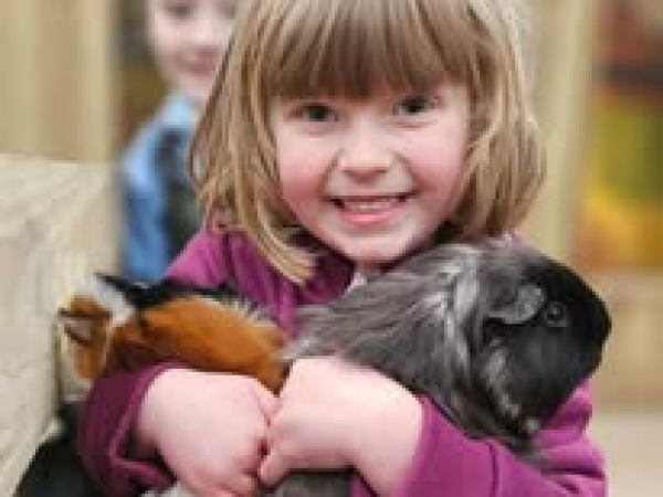 General Farm Admission