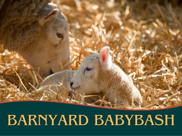 Barnyard Baby Bash