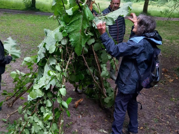 A Tree-mendous Day Out, 18th August, 10:00-11:30, Chard Reservoir, part of toddler Tuesdays