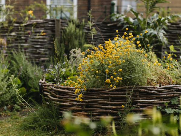 Spring Plant Fair 2026 | Safeguarding plant diversity for the future?