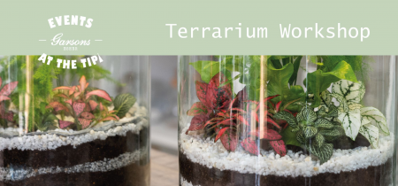 Events at The Tipi: Terrarium Workshop