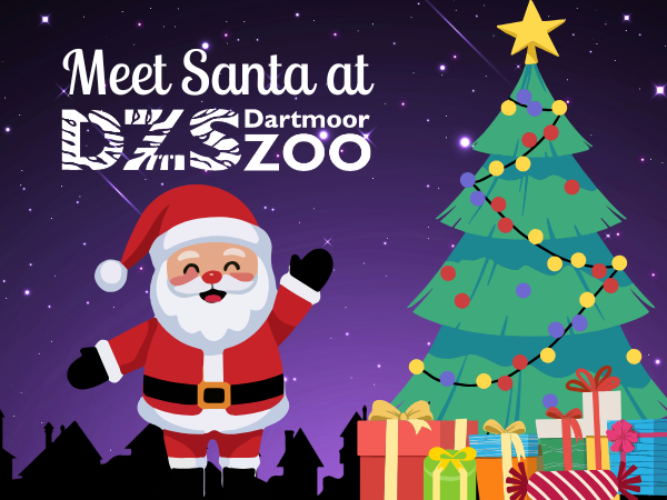 Santa's Grotto