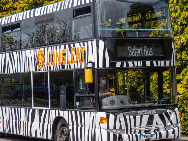 SAFARI BUS