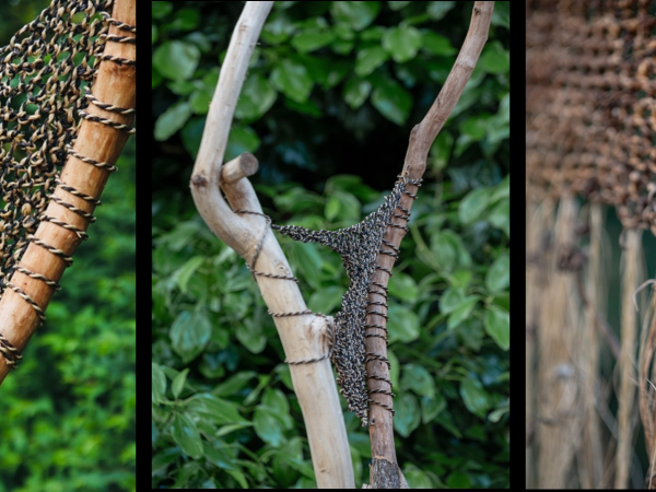 3 images of woven nets across and between natural branches.