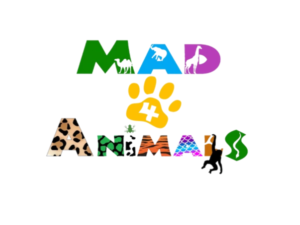 Mad4Animals - Jungle Challenge (9th August)