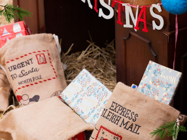 Santa's Daytime Woodland Workshop Experience