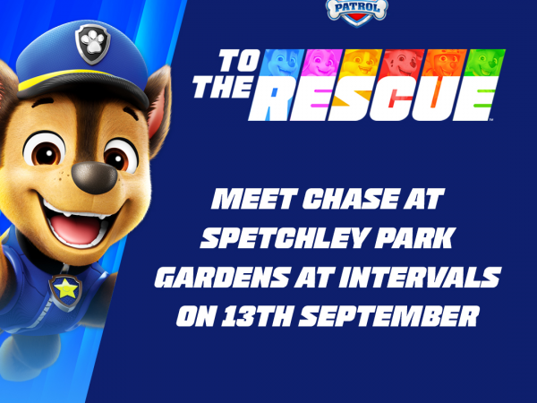 Meet Chase from Paw Patrol