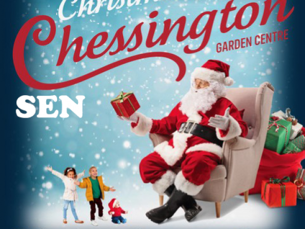 The Magical Christmas Grotto 2025 - SEN