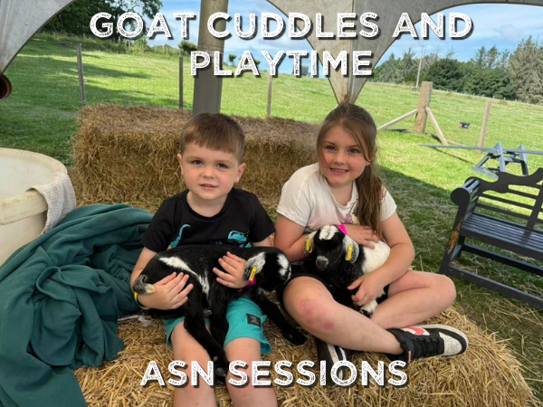ASN Session: Goat Cuddles and Playtime @ 3:30pm daily