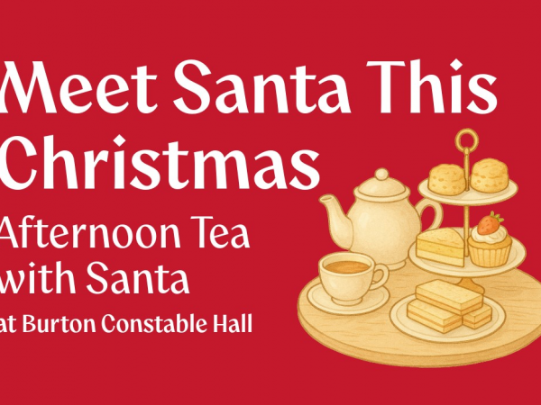 Afternoon Tea With Santa