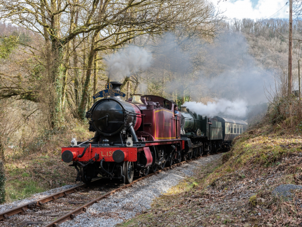Paddington Visits! Train Tickets (Carmarthenshire)