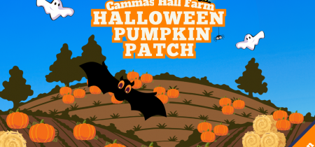 Halloween Pumpkin Patch Admission - SEN Session