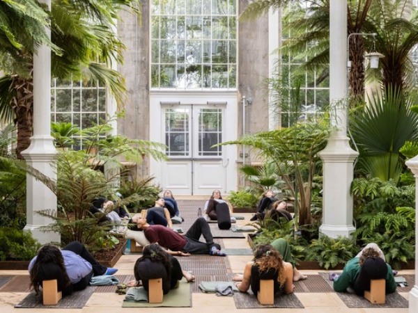 Yin Yoga