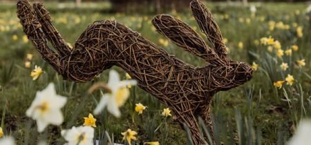 Hare Willow Weaving with Emma Stothard 2025