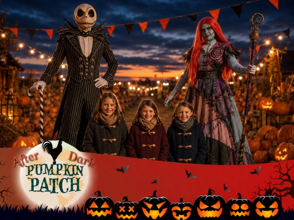 The Pumpkin Patch After Dark (2026)