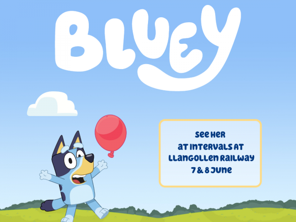 Bluey Visits! Train Tickets (Denbighshire, Wales)