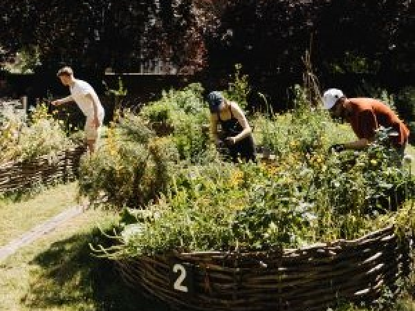 Spring Plant Fair 2026 | Flo Dill and Jack Jeans on London's DIY and Community Green Spaces