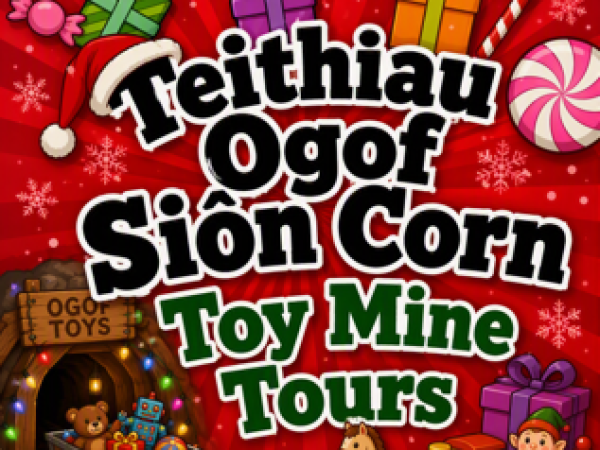 Tocynnau Ogof Siôn Corn /Tickets Santa's Toy Mine