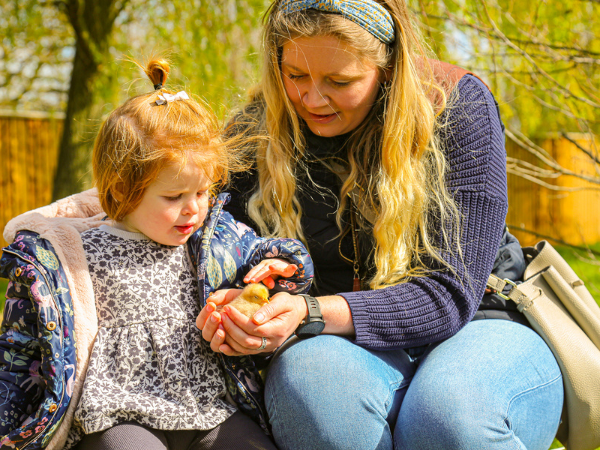 Chick Meet and Greet