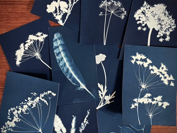 Cyanotype Workshop