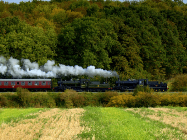 The Gruffalo & Child Visits! Train Tickets (Leicestershire)