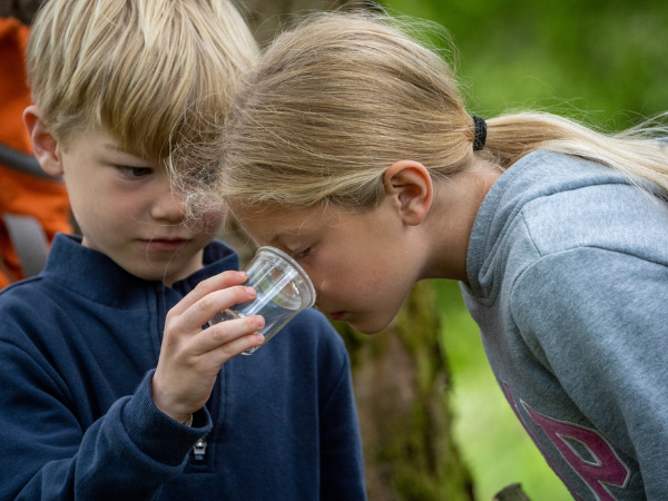 The Little School of Ecology in Haddon Medieval Park