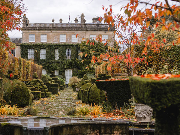 Autumn Walk 2025 with 2 course lunch