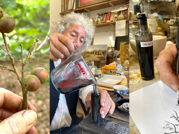 Sourcing from Nature: Make a feather quill & oak gall ink
