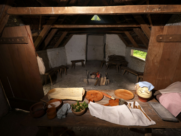 Old English Healing & Medicine