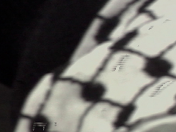 Alchemy Film Festival - Focus: Nada El-Omari - 16:30 01/05/26